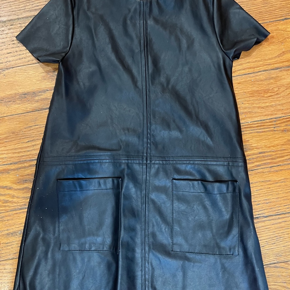 Zara Faux Leather Retro Dress